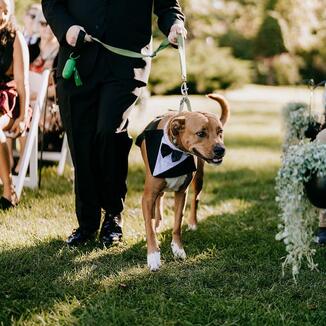 3142_Amy_Nick_Interlaken_Inn_Resort_Wedding_Lakeville_CT_2022_1009_websize.jpg