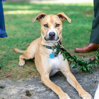 2176_MollyMorrisPhotographyCTWeddingPhotographer_257.jpg