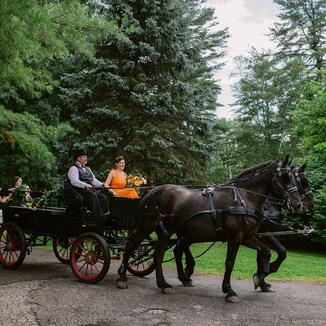 2332_0315_MJP_0889_michaela_joy_photography_wedding_websize.jpg