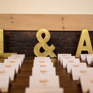 Lisa - Ankur -2255