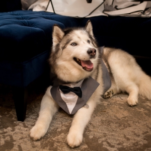 0294- J.Benson_Photography_Wedding_ZachAllie_The_Interlaken_Inn_Salisbury_CT