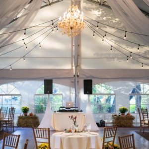 Kathryn & Michaels Wedding-1237