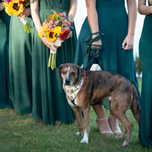 Kathryn & Michaels Wedding-768